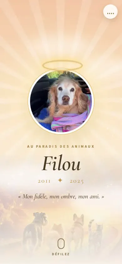 Exemple : le mémorial de Filou